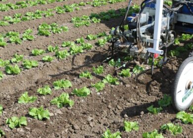 Будущее роботизированных культиваторов