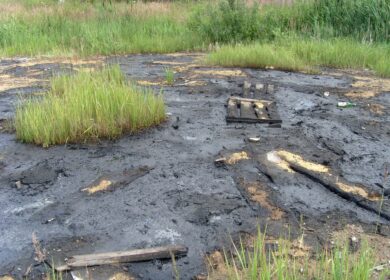 За порчу земель могут ужесточить наказание