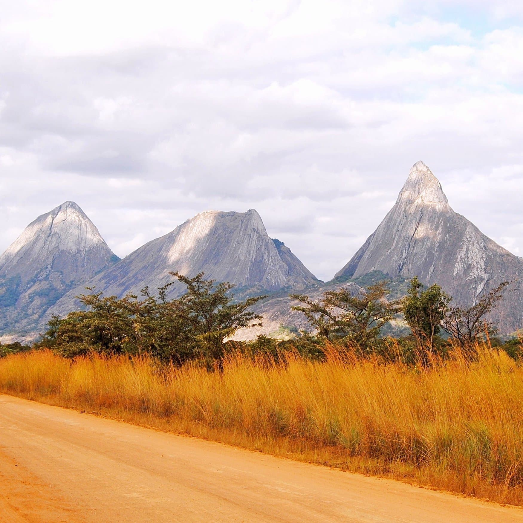 Regius Synfuels наладит выпуск карбамида в Мозамбике