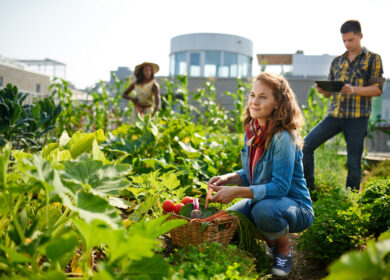 «РусЭко» обещает ввести крупнейшую в мире городскую ферму