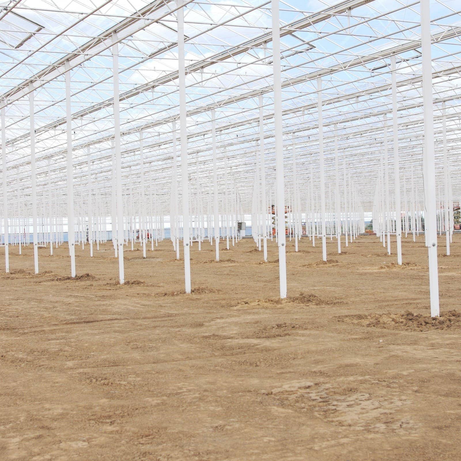 В Чувашии строится крупный тепличный комплекс