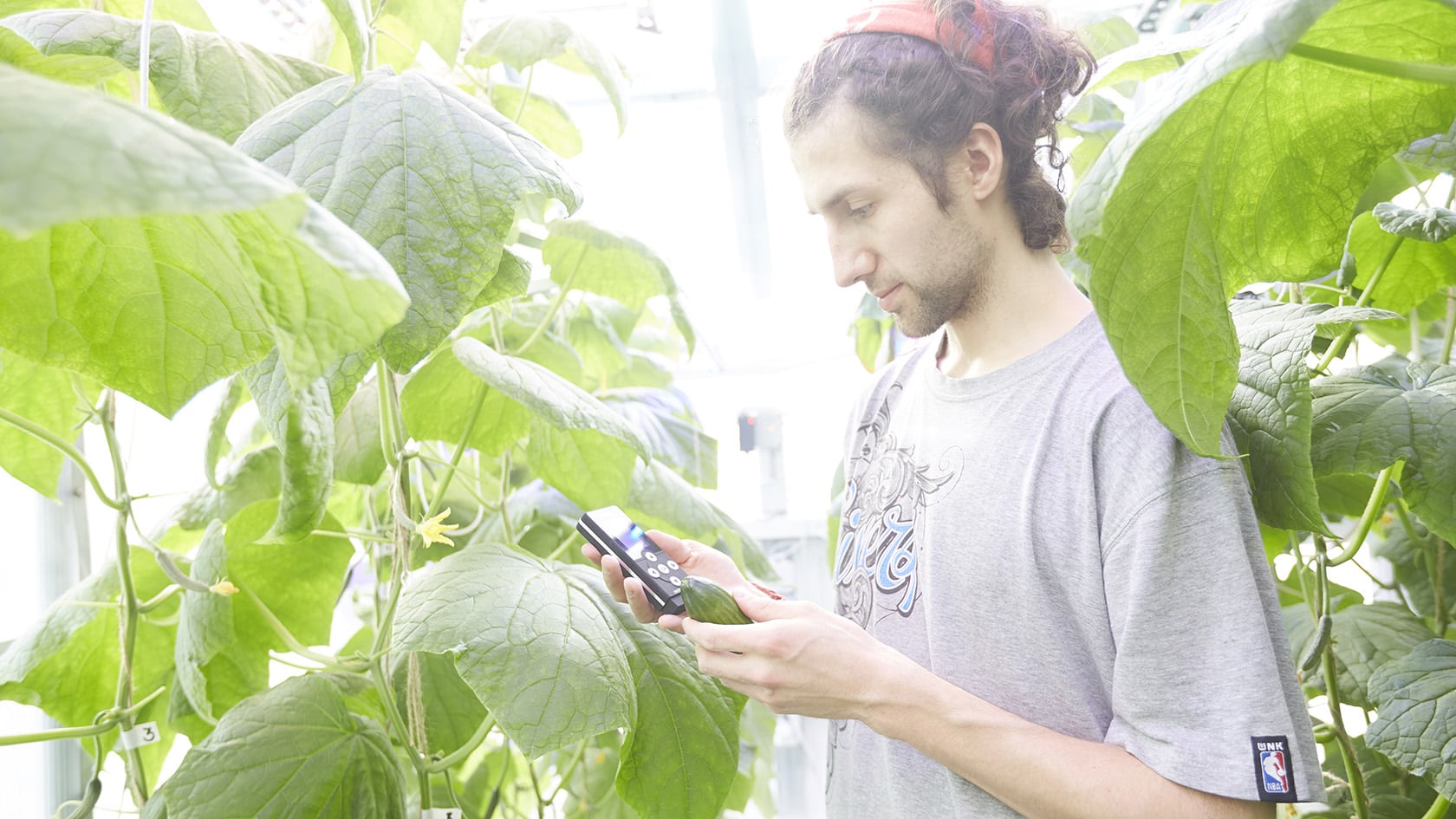 iFarm привлек инвестиции для развития