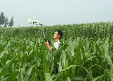 Световые сенсоры повысят эффективность удобрений