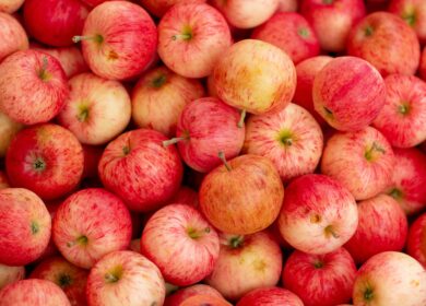 В Краснодаре соберутся лидеры промышленного садоводства