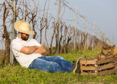 Фермеры в Ирландии ждут снижения цен