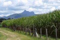 Incitec Pivot улучшает обслуживание фермеров