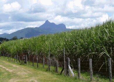 Incitec Pivot улучшает обслуживание фермеров