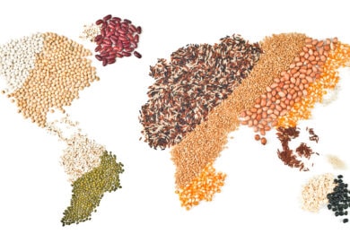 Россия может войти в круг крупнейших сельскохозяйственных экспортеров