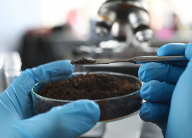 «ОТД-Легион» опять оштрафовали за «спиртовые» удобрения