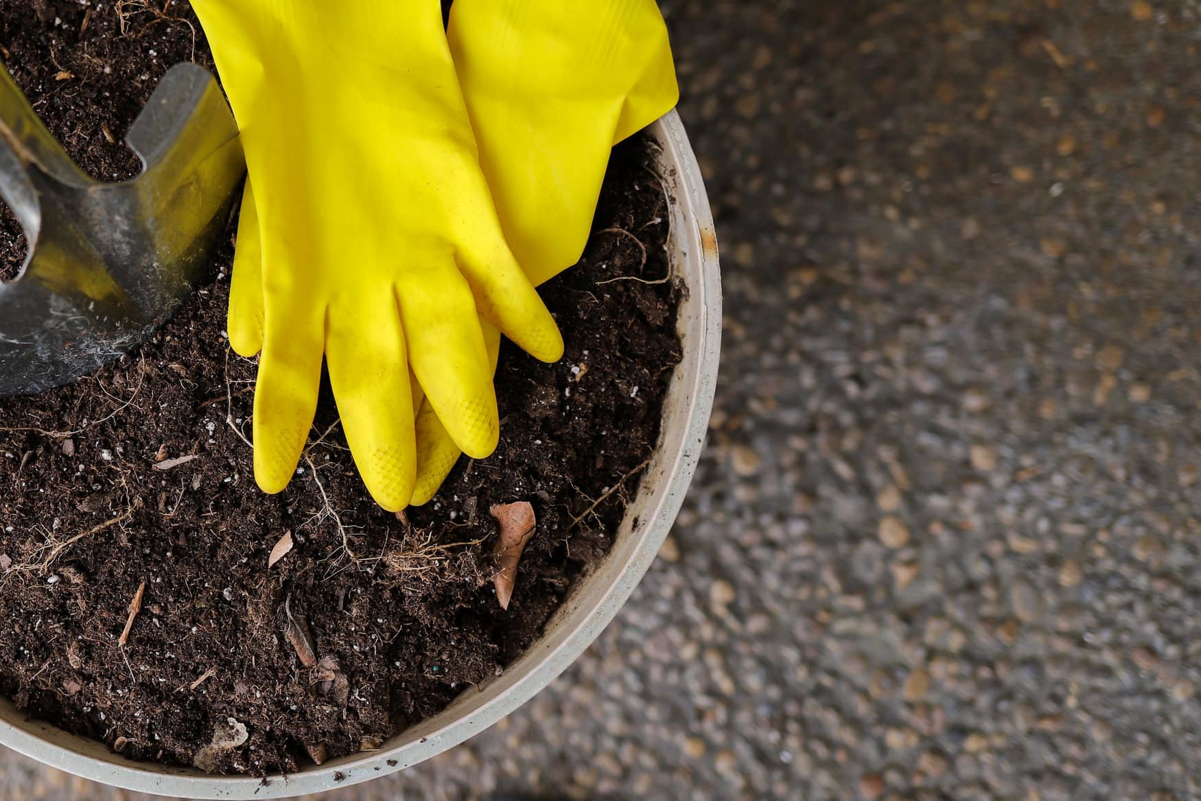 «Камчатский водоканал» сертифицировал иловый осадок