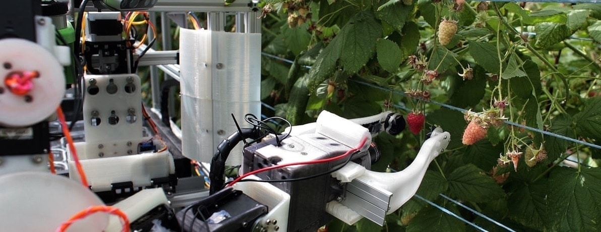 Robocrop: первый в мире робот для сбора малины