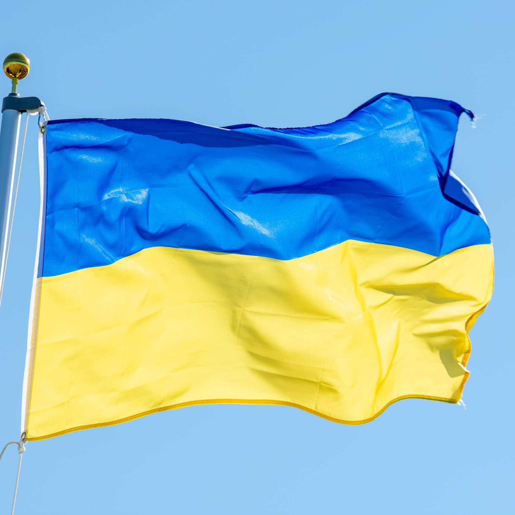 Group DF готова завалить Украину азотными удобрениями