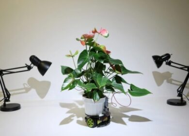 Сенсоры будущего станут органическими