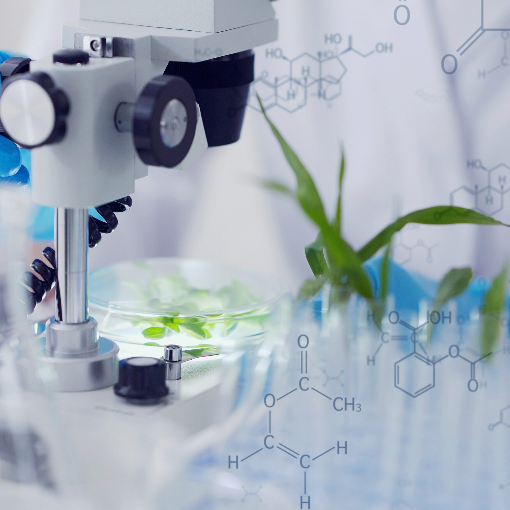 В России создано перспективное удобрение