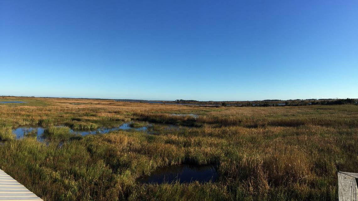 ExxonMobil заплатит за порчу болот