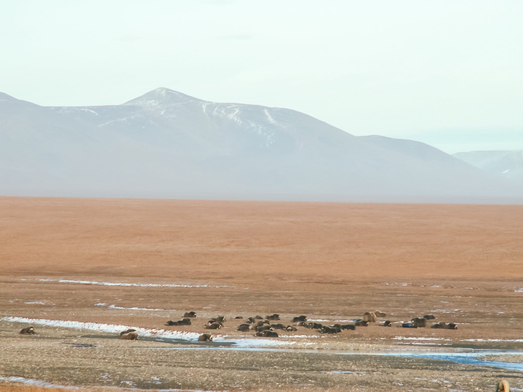 На Дальнем Востоке хотят ввести цифровое управление землями