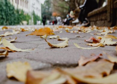 В Московской области хотят выпускать органические удобрения