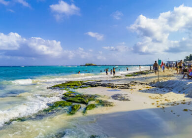 Британские ученые хотят помочь Мексике