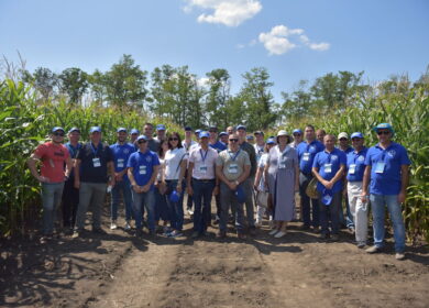 Dekalb получил новый вектор развития