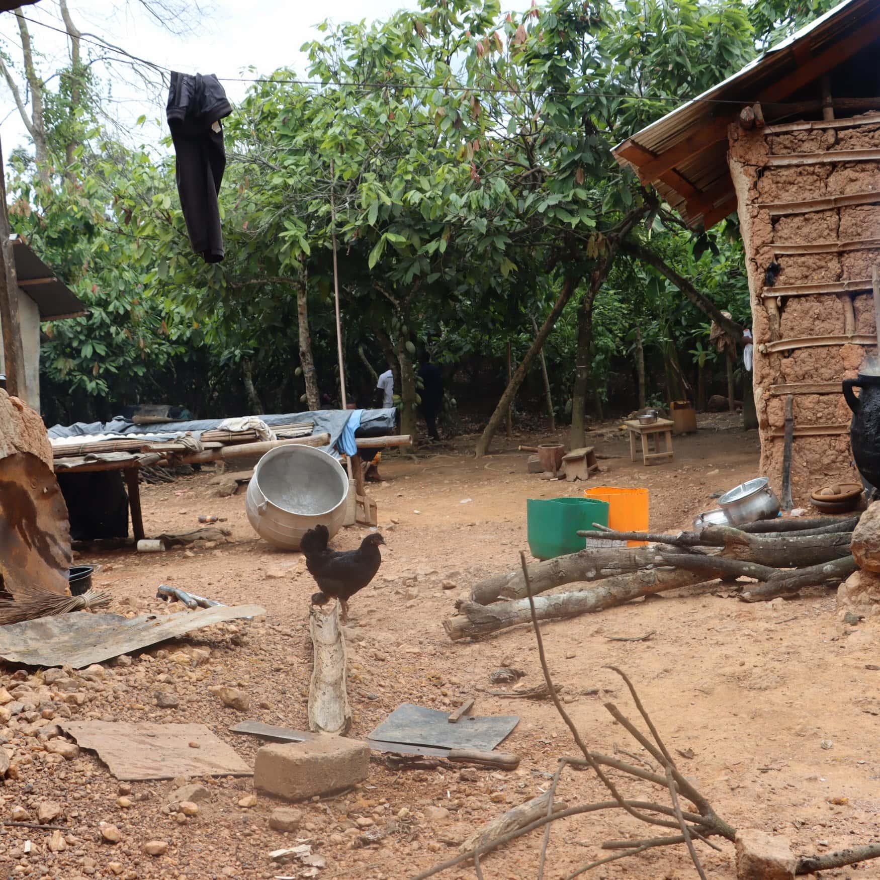 В Гане пытаются помочь мелким фермерам