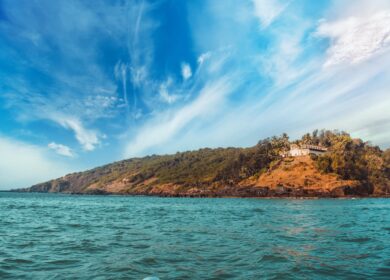 Гоа хотят сделать органическим штатом