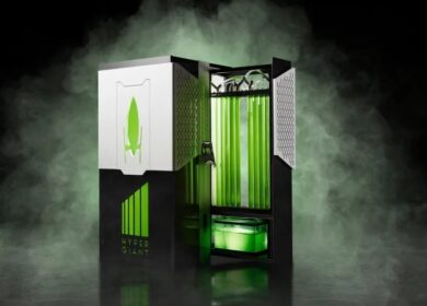 Водоросли помогут остановить изменение климата