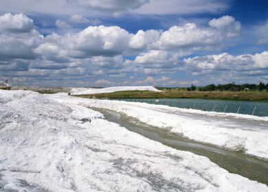 Mosaic продолжает сокращать производство