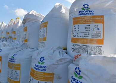 «ФосАгро-Регион» нарастил поставки почти на 8%