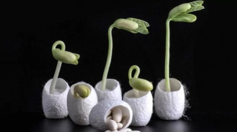 Ученые защитят семена шелком