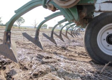 В Австралии нашли альтернативу глифосату