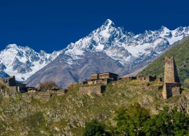 В Северной Осетии появится тепличный комплекс