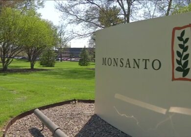Monsanto заплатит за халатность