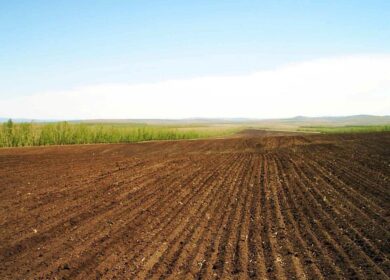 В Башкортостане приступили к накоплению удобрений