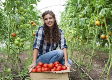 Кто лучший оператор закрытого грунта?