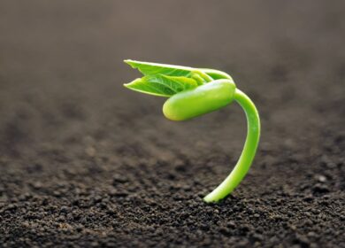 Blau Chem построит несколько заводов на Украине