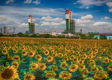 Одесский припортовый завод развивает экспорт