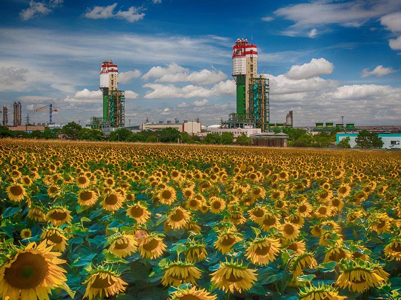 Одесский припортовый завод развивает экспорт