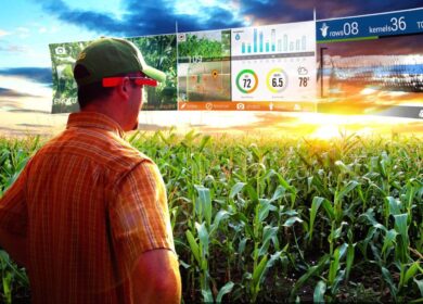 Digital Agro стала инвестором «ИнфоБиса»