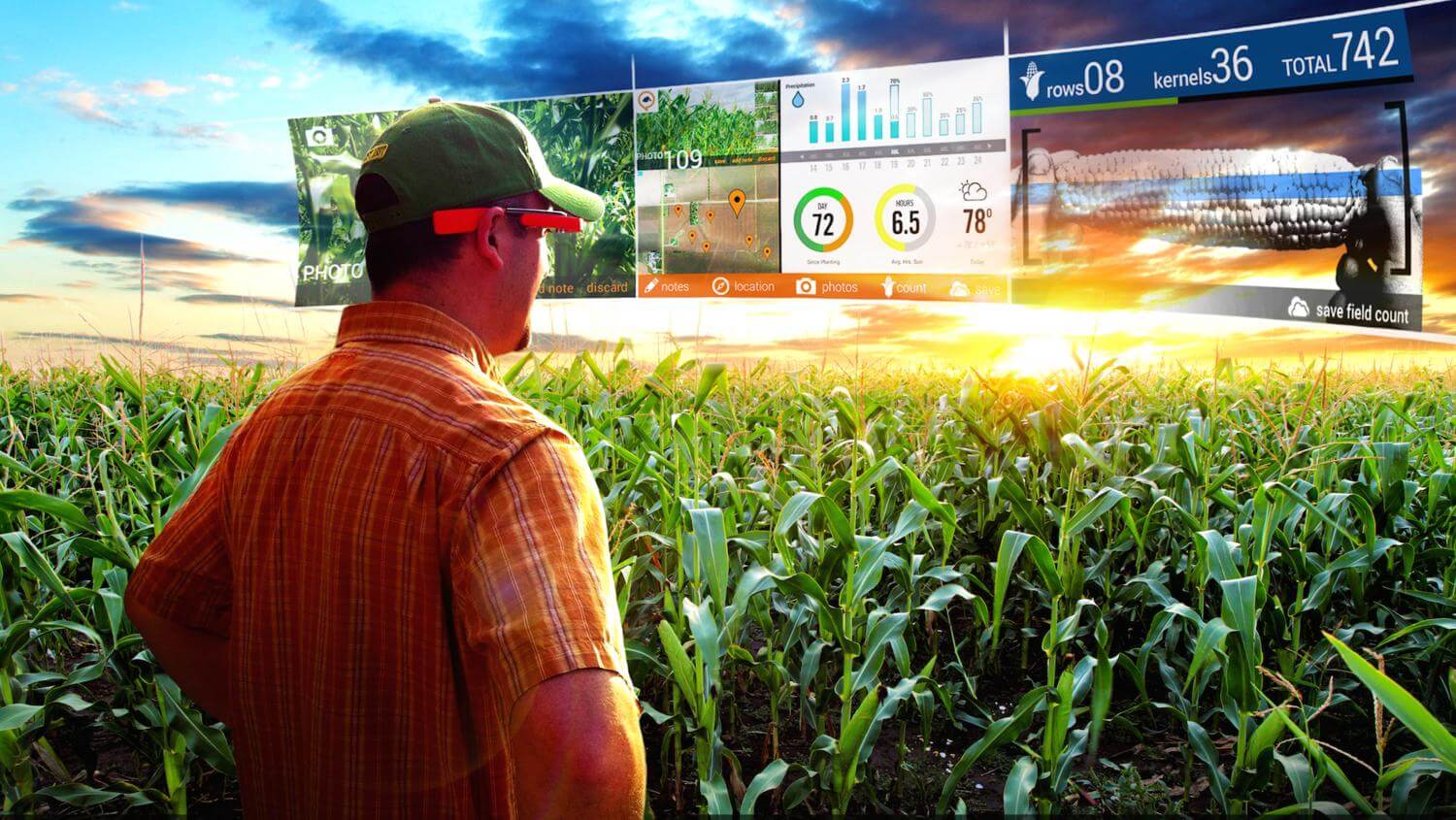 Digital Agro стала инвестором «ИнфоБиса»