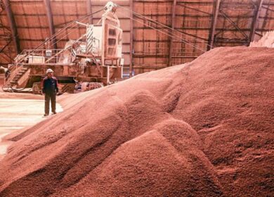 Indian Potash может продлить контракт с БКК