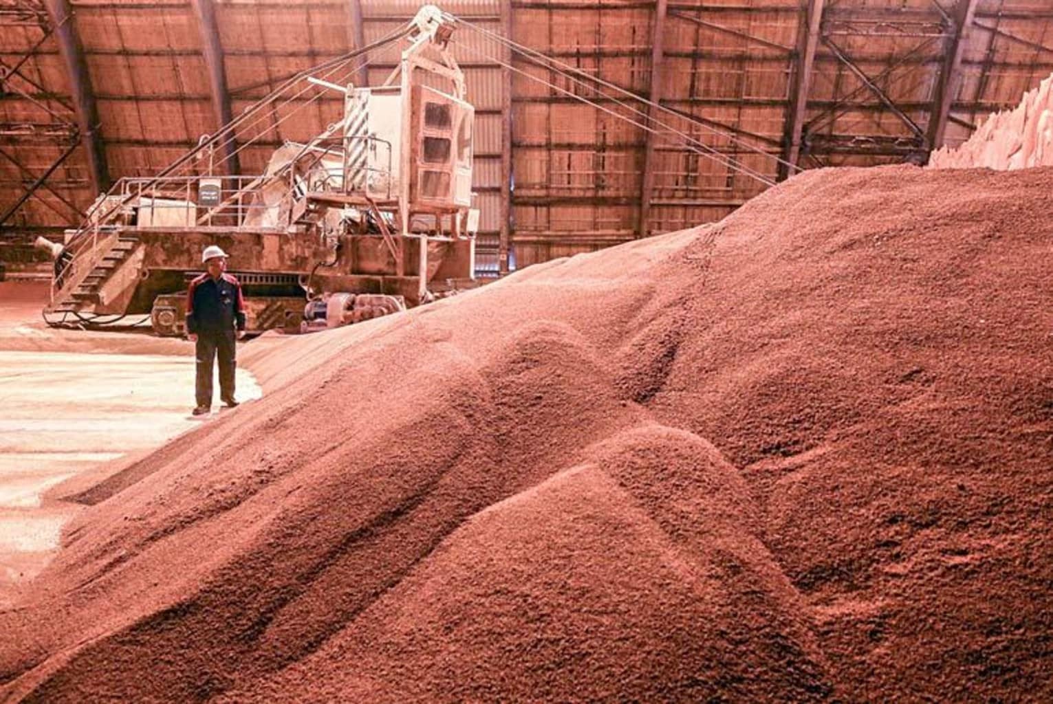 Indian Potash может продлить контракт с БКК