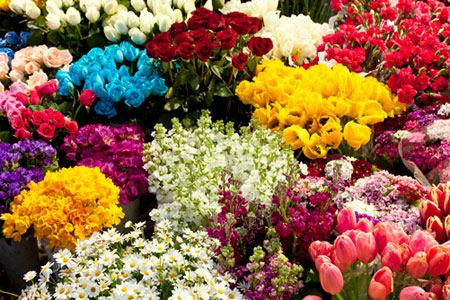 Рейтинг удобрений для срезанных цветов