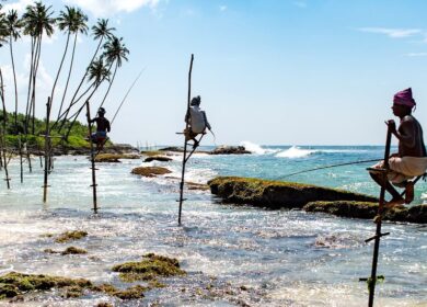 Власти Шри-Ланки закупят почти 80 тыс. тонн агрохимикатов