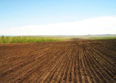 В Хабаровском крае вырастут посевные площади