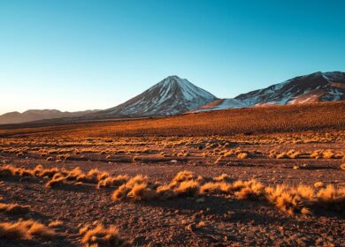 Lara Exploration хочет добывать фосфориты в Чили