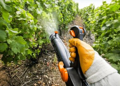 В России скакнуло производство средств защиты растений