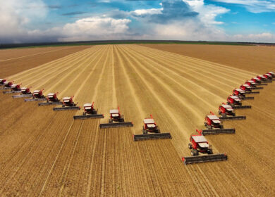 Mosaic с оптимизмом смотрит на Бразилию