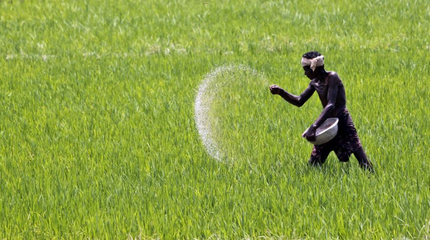 Deepak Fertilizers and Petrochemicals прекратила выпуск удобрений