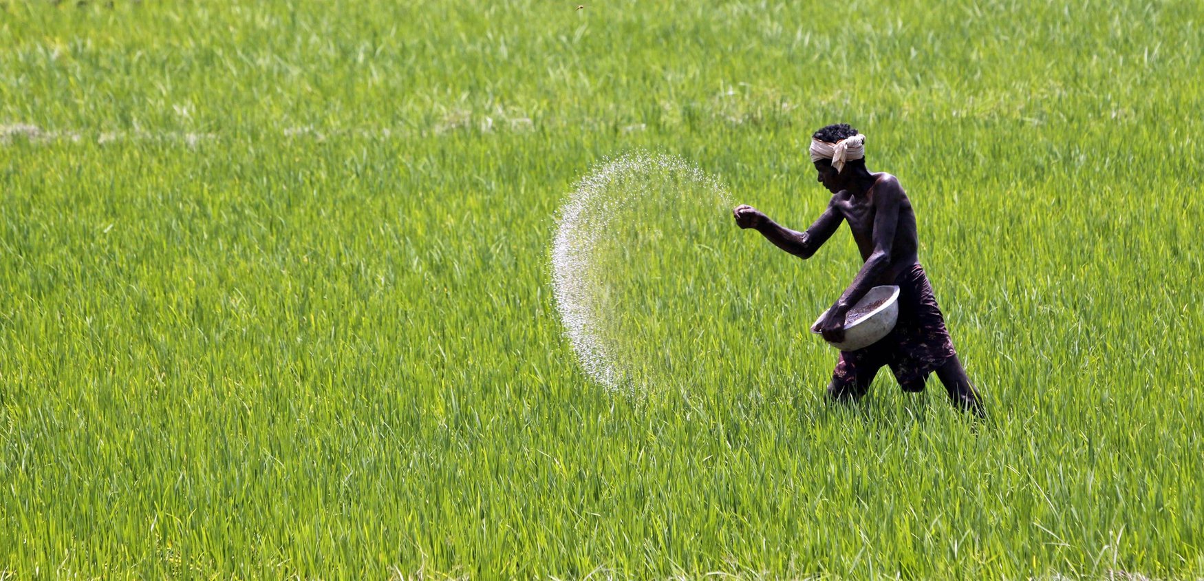 Deepak Fertilizers and Petrochemicals прекратила выпуск удобрений