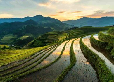 Вьетнам продолжит защищаться от импорта фосфорных удобрений